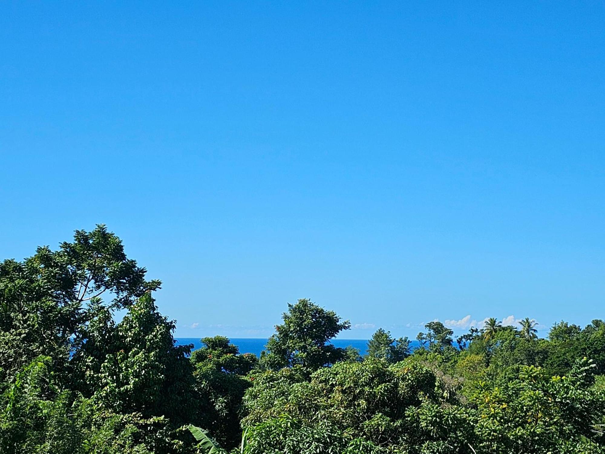 Apartmán Royal Escape - 2 Anse La Raye Exteriér fotografie